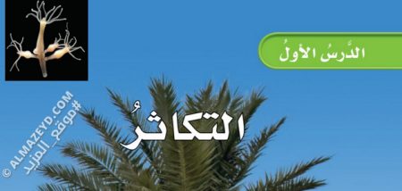 تلخيص درس: التكاثر – علوم 5 ابتدائي «سعودي» الفصل الدراسي الأول