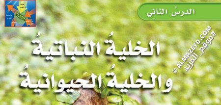 تلخيص ومراجعة درس: الخلية النباتية والحيوانية – علوم 6 ابتدائي «سعودي» الفصل الدراسي الأول