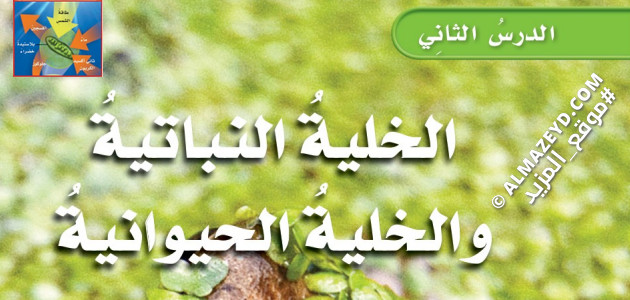 تلخيص ومراجعة درس: الخلية النباتية والحيوانية – علوم 6 ابتدائي «سعودي» الفصل الدراسي الأول