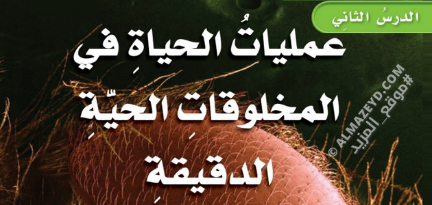 تلخيص ومراجعة درس: عمليات الحياة في المخلوقات الحية الدقيقة – علوم 6 ابتدائي «سعودي» الفصل الدراسي الأول