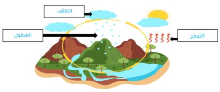 التبخر – التكثف – الهطول – المياه الجوفية