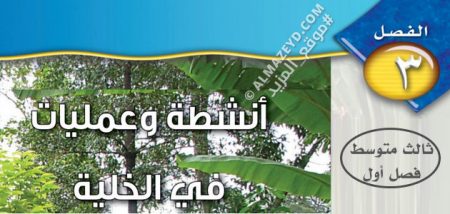 مراجعة وحل أسئلة الفصل الثالث «أنشطة وعمليات في الخلية» علوم ٣ متوسط «سعودي» فصل أول