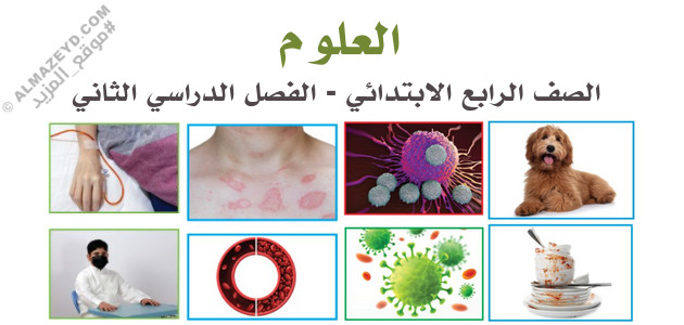 مراجعة ممتازة لمادة العلوم – رابع ابتدائي «سعودي» الفصل الدراسي الثاني