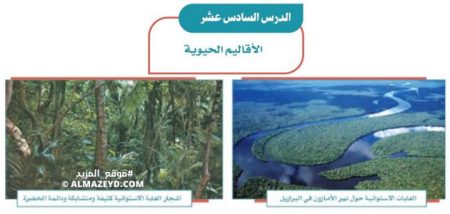 إجابات أسئلة درس: الأقاليم الحيوية – اجتماعيات الثاني المتوسط «سعودي» فصل ٢
