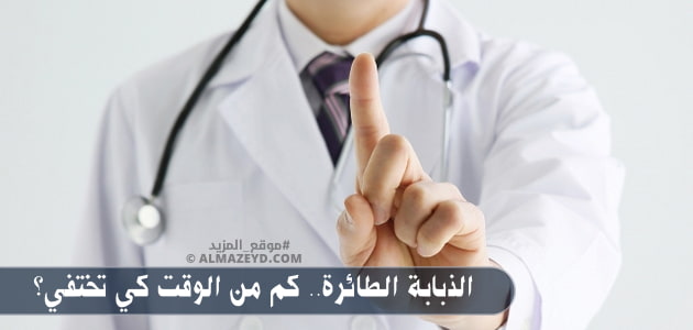 الذبابة الطائرة.. كم من الوقت كي تختفي؟