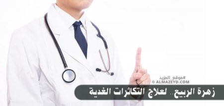 زهرة الربيع.. لعلاج التكاثرات الغدية