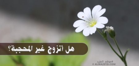 هل أتزوج غير المحجبة؟ صراع بين الواجب والحب