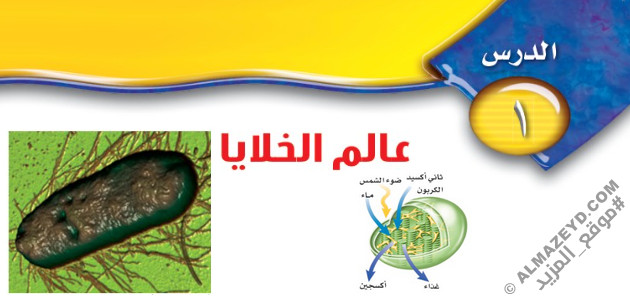 تلخيص وحل أسئلة درس «عالم الخلايا» علوم أول متوسط «سعودي» فـ٣
