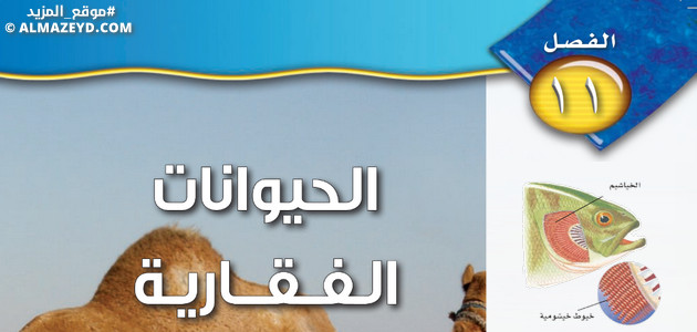 حل أسئلة الفصل 11: الحيوانات الفقارية – علوم أول متوسط «سعودي» فـ٣
