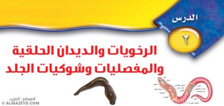 تلخيص وحل أسئلة درس «الرخويات والديدان الحلقية والمفصليات وشوكيات الجلد» علوم أول متوسط «سعودي» فـ٣