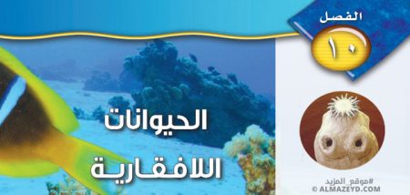 حل أسئلة الفصل 10: الحيوانات اللافقارية - علوم أول متوسط «سعودي» فـ٣