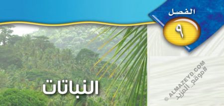 حل أسئلة مراجعة الفصل 9: النباتات - علوم ثاني متوسط «سعودي» فـ٣