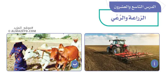 تلخيص وحل أسئلة درس «الزراعة والرعي» اجتماعيات خامس ابتدائي «سعودي» فـ٣
