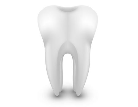 3D teeth ، الأسنان ، ثلاثية الأبعاد