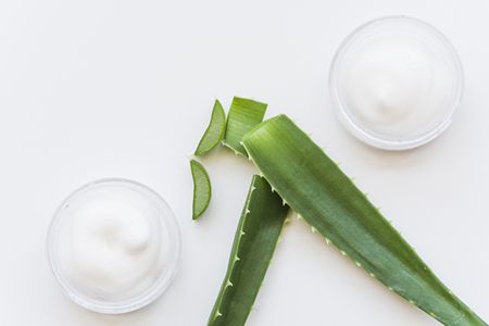 الألوفيرا , Aloe vera , الصبار , صورة