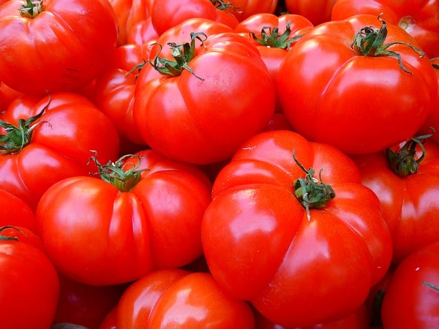 الطماطم،البندورة،قوطه،فوائد الطماطم
