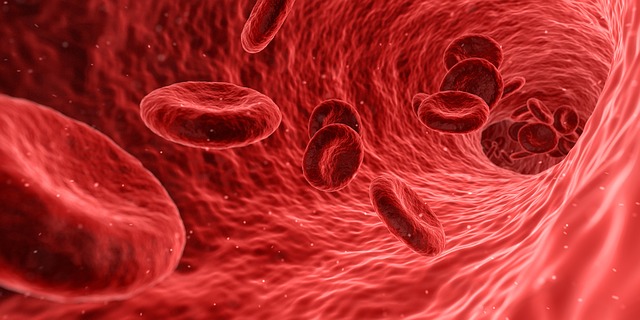 Blood،الدم،صورة،هرمون التستوستيرون,Testosterone