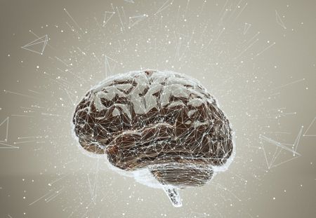 مرض الذهان , Brain , الدماغ , صورة
