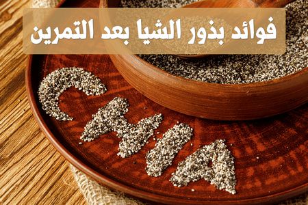 فوائد بذور الشيا بعد التمرين , Chia seeds