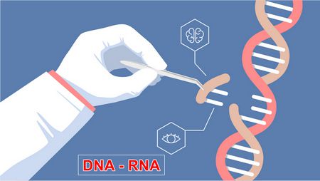 الحمض النووي , DNA , RNA