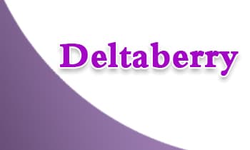 دلتابيري – Deltaberry | مكمل غذائي مضاد للأكسدة