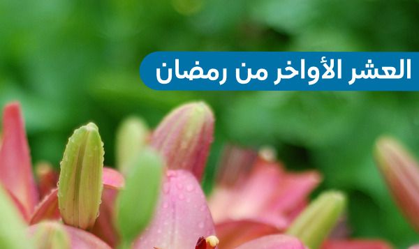 أفكار خلال العشر الأواخر من رمضان , أفضل الأدعية