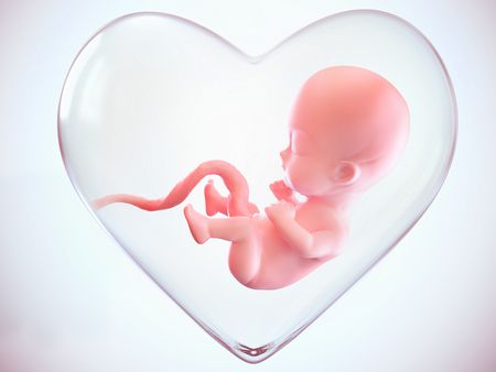 أطفال الأنابيب , زرع الأجنة , الأجنة المجمدة, Embryos , صورة
