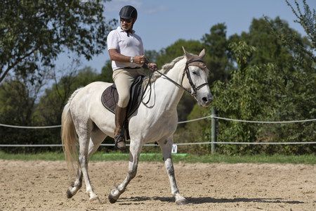 صورة , رياضة الفروسية , ركوب الخيل