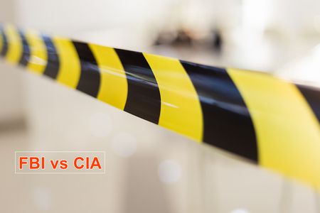 FBI vs CIA , الولايات المتحدة الأمريكية, النظام الكونفدرالي