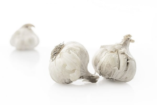 صورة, الثوم ,Garlic