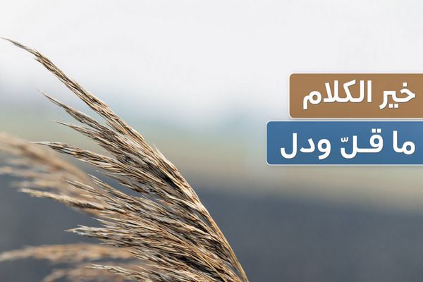 خير الكلام ما قل ودل: نظرة علمية وشرعية عن كثب