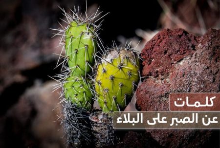 كلمات عن الصبر, الصبر على البلاء , فرج الله قريب