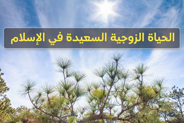 الحياة الزوجية السعيدة في الإسلام