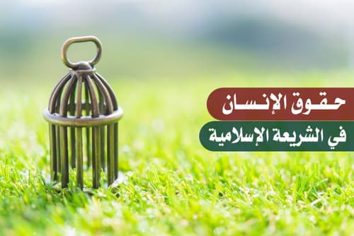 حقوق الإنسان في الشريعة الإسلامية.. أُقِرَّت ووثِّقَت مبدأً وغاية