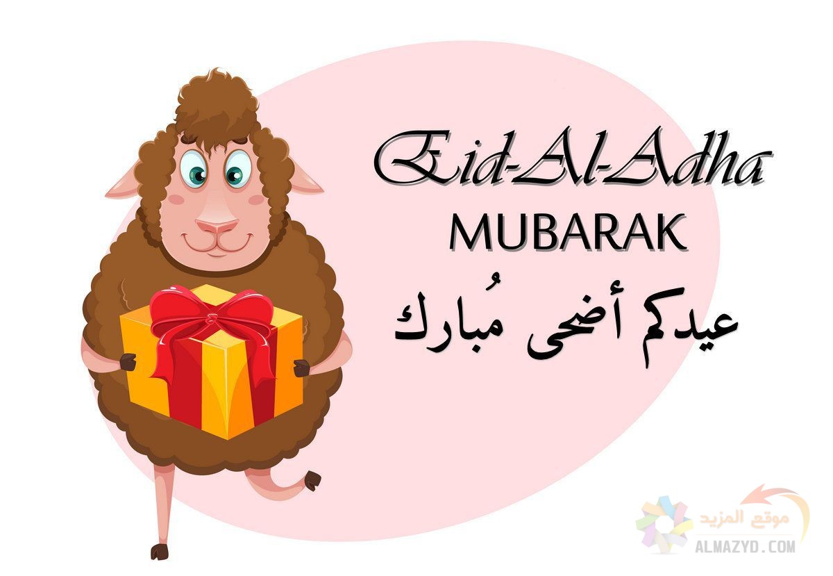 تهاني عيد الأضحى، عيد أضحى مبارك، كلمات تهنئة، عيد مبارك، صورة خروف