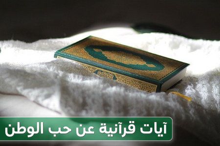 مشاعر الحب والولاء للوطن