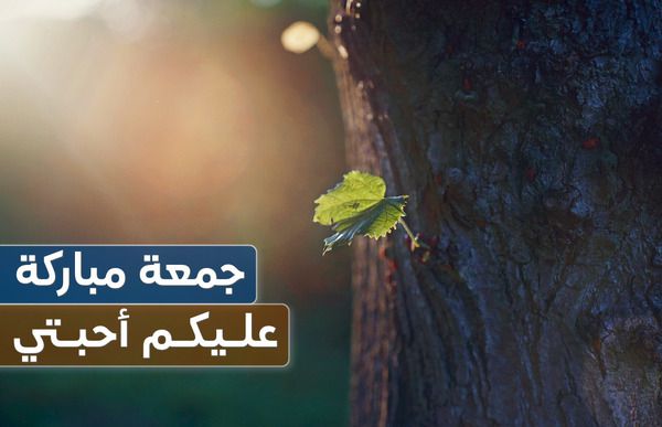 جمعة مباركة عليكم أحبتي – أجمل الكلمات مع أعذب الأدعية