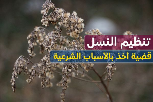 خطبة عن تنظيم النسل.. قضية أخذ بالأسباب الشرعية