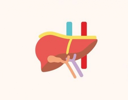 تليف الكبد ، صورة , الفشل الكبدي