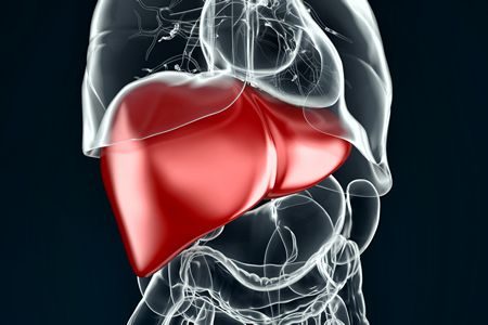 تليف الكبد , Liver fibrosis , صورة