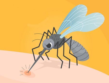 مرض الملاريا ، Malaria ، صورة