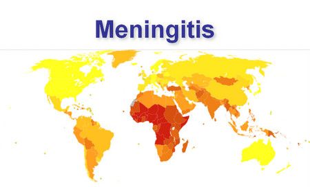 التهاب السحايا ، العالم ، صورة