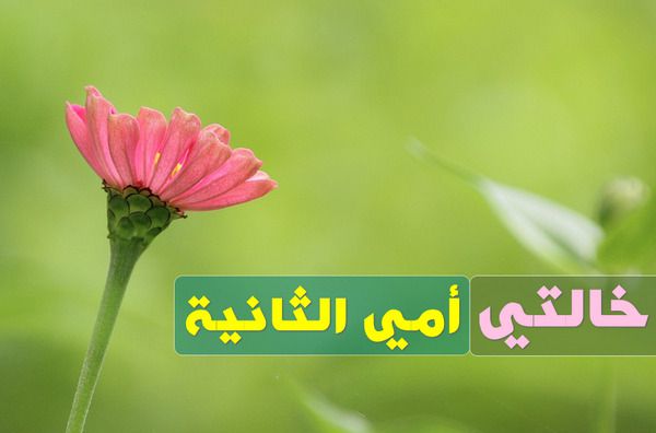 خالتي أمي الثانية , كل عام وأنتِ بخير , عيد الأم