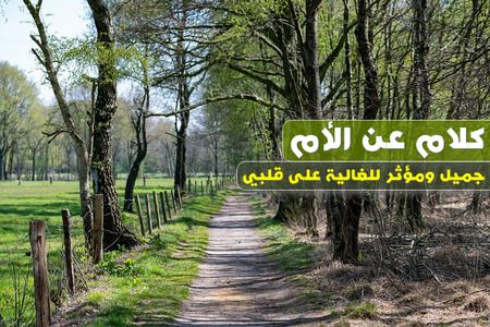 كلام عن الأم , كلمات لأمي, عبارات عن أمي الغالية