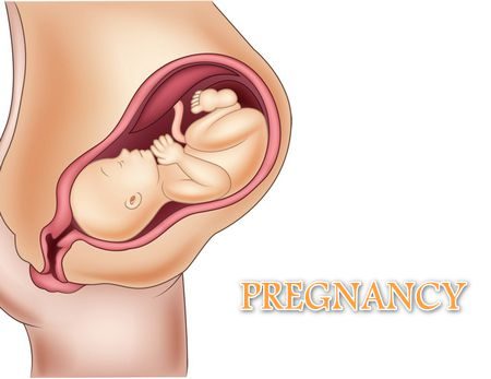 تقنيات حديثة , متابعة الحمل , Pregnancy , صورة