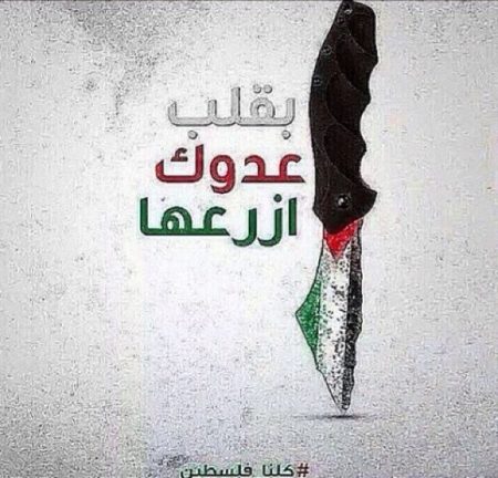 صورة العلم الفلسطيني , بقلب عدوك ازرعها