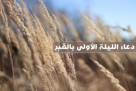 دعاء الليلة الأولى بالقبر , اللهم اغفر لأمواتنا , الدعاء للأموات , دعاء للميت