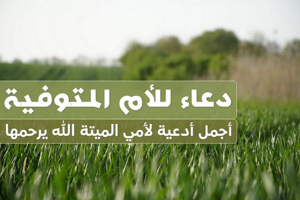 دعاء للأم المتوفية , أدعية لأمي الميتة الله يرحمها