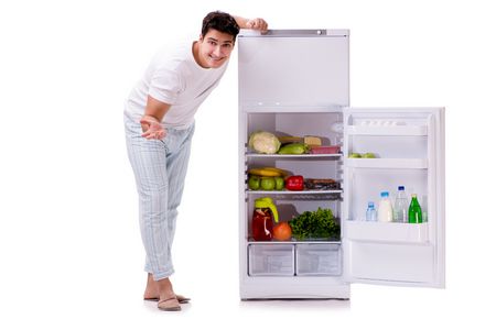 مواصفات قياسية , الثلاجة المثالية , Refrigerator , صورة
