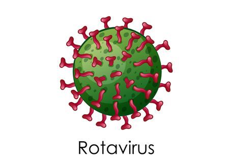 Rotavirus , علاج, فيروس الروتا , الأطفال , صورة